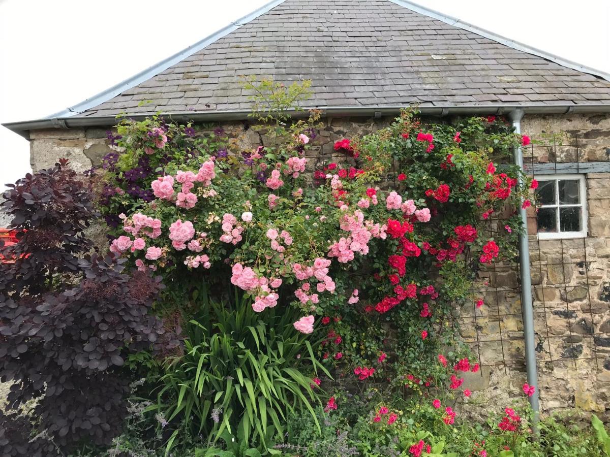 Billerwell B&B Hawick Exterior foto